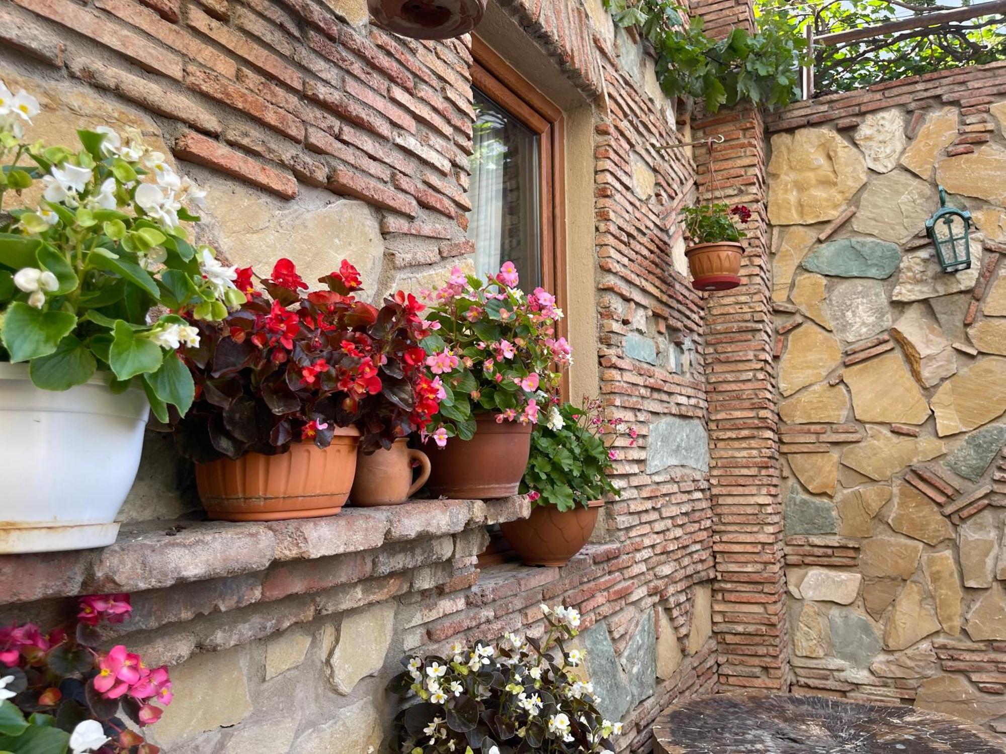 Apartments With Wine Cellar In Old Τυφλίδα Εξωτερικό φωτογραφία